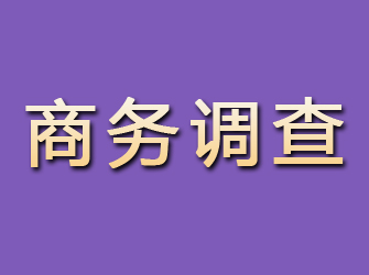 池州商务调查