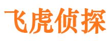 池州婚外情调查